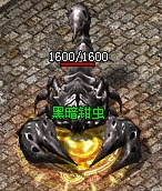 369.jpg