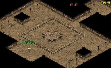 339.jpg